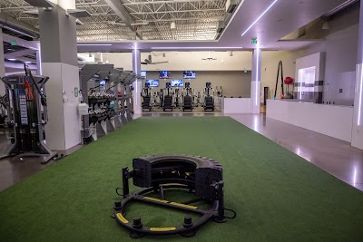 Alive Fitness