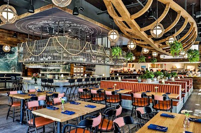 PLANK SEAFOOD PROVISIONS