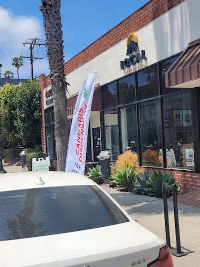 Local Cannabis Co - Santa Monica