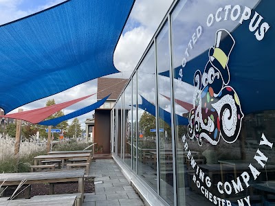 Spotted Octopus Brewing Co - Roches