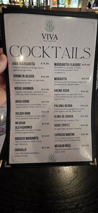 Viva Mexican Cuisine