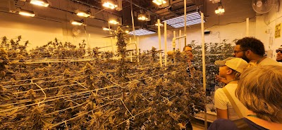 Karmaceuticals