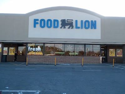 Food Lion #234