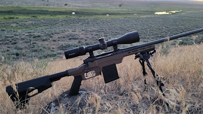 Savage Arms