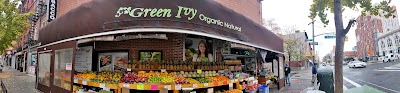 Green Ivy