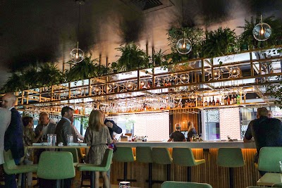 Camp Modern American Eatery