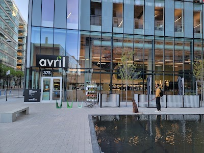 Avril Montréal Humaniti