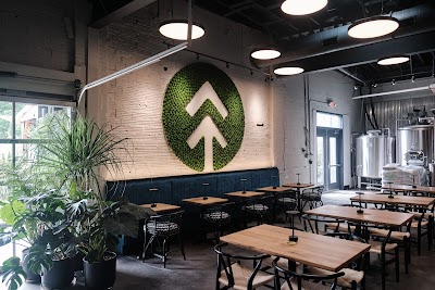 Terra Nova Beer Co