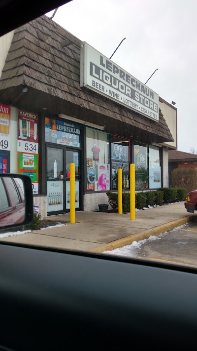 Leprechaun Party House