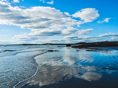 Clam Harbour Beach