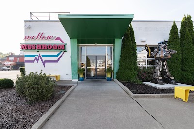 Mellow Mushroom #141