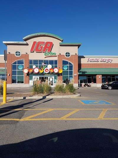 Iga Hebert Senecal 564