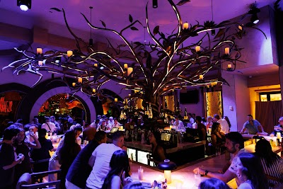 Maya Day & Nightclub