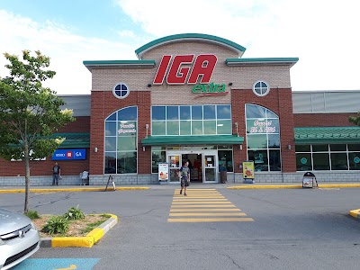 Iga 531