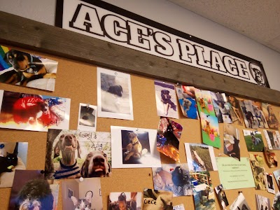 Aces Place