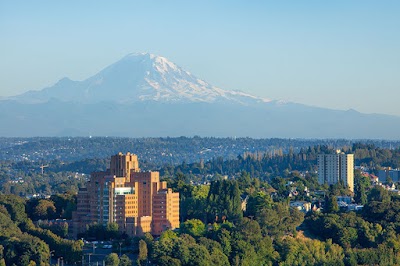 Skyline At First Hill