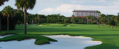 Disneys Palm/mag/oak Gc