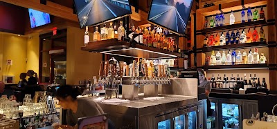 Lazy Dog Restaurant & B #1276781