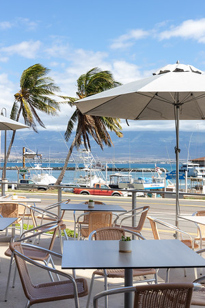 Havens Harborside Fish And Chips