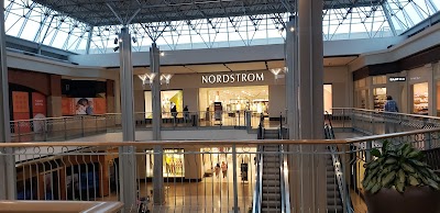 Williams Sonoma
