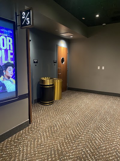 Amc Theaters #503