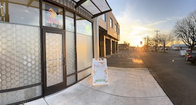 Hive Cannabis Connect