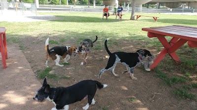 Bark Park