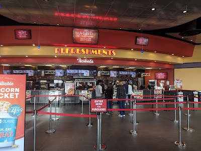 Amc Apple Blossom 12 #4513