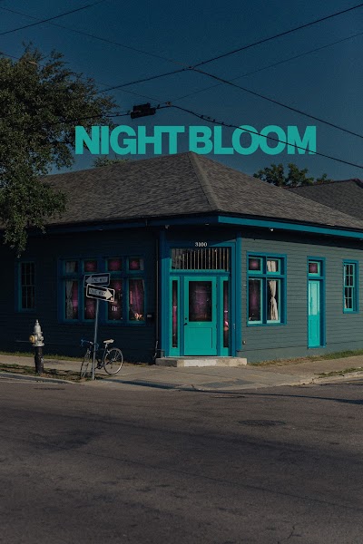 Nightbloom Bar #0
