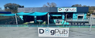 Dog Pub Social