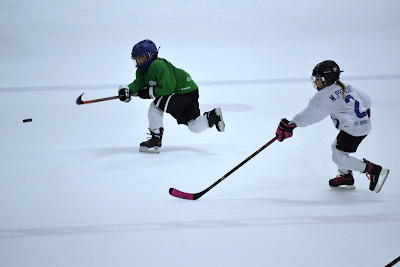 Ice Sports Forum