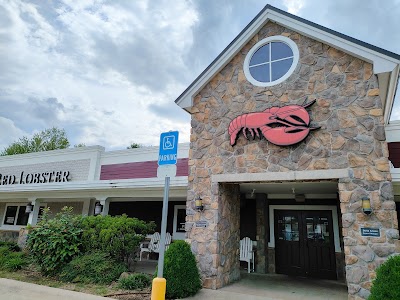Red Lobster