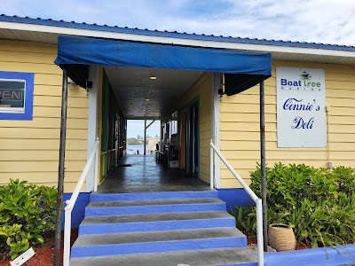 Otters On The River