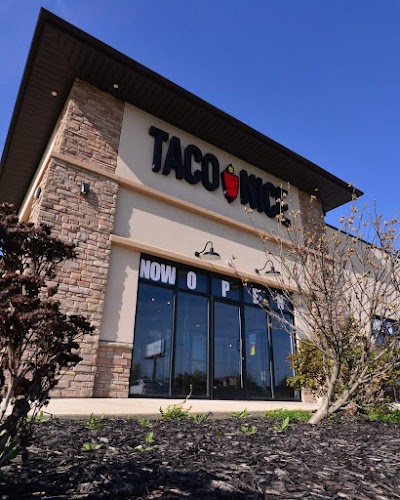 Taco Nice