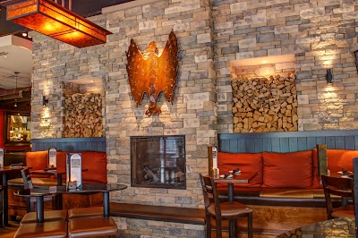 Firebirds Wood Fired Gr #20