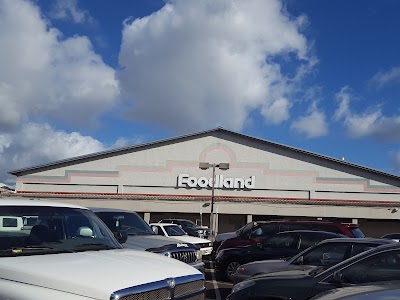 Foodland - Hi #10