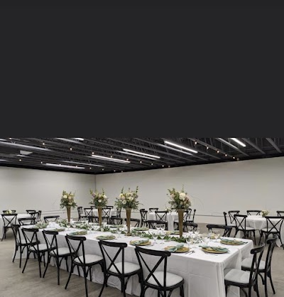 THE SOCIAL