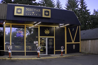 Nectar - Liberty / Salem