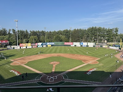 Nashua Silver Knights Baseball