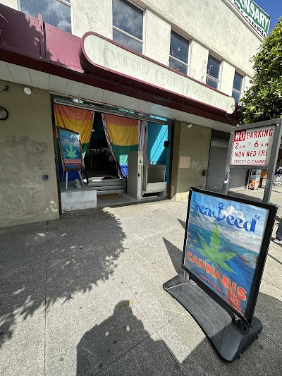 Seaweed Sf (jefferson St)
