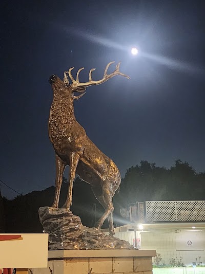 Elks Lodge
