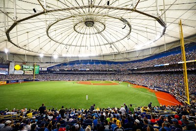 Levy Tropicana Field #rays
