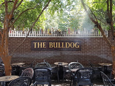 The Bull Dog