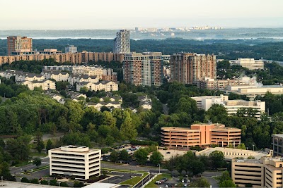 The Mather Tysons