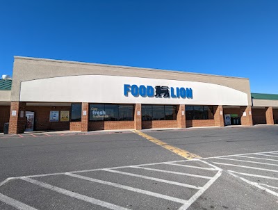 Food Lion #497