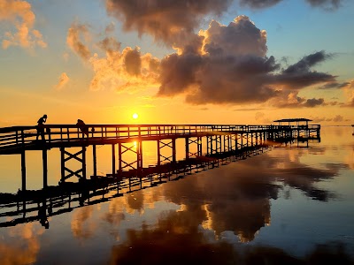 Safety Harbor Marina