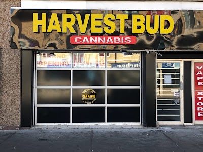 Harvest Bud Cannabis