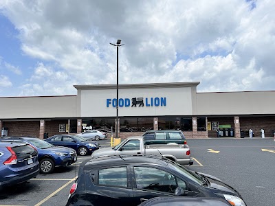 Food Lion #596