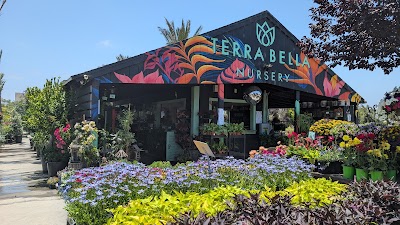 Terra Bella Nursery