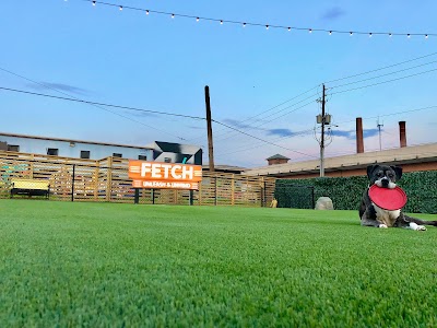Fetch Atl
